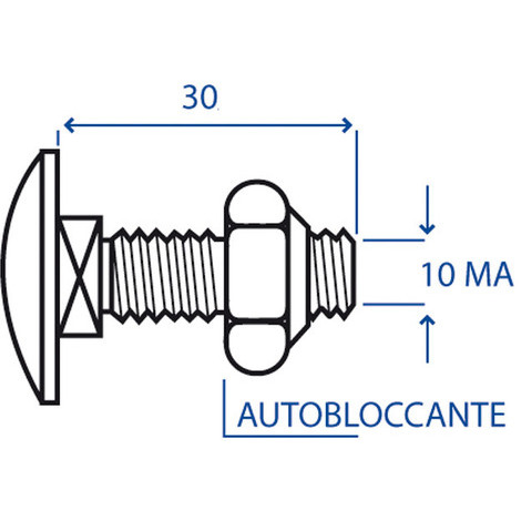 VITE 10X30 TTQST CON DADO AUTOBLOCCANTE